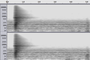 reverb-pomona-blaisdell-bathroom-spectogram
