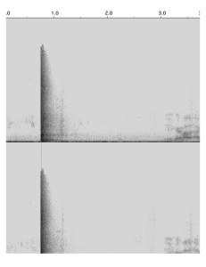 Reverberation_Larkin_spec