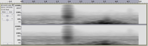 reverb-pitzer-amphitheatre-spectrogram