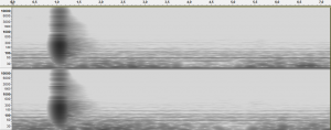 Reverb-Pomona-SeaverTheater-spectogram.jpg